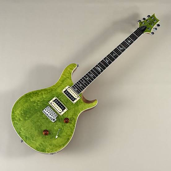 Paul Reed Smith(PRS) SE Custom24 Quilt / Eriza Verde 【S/N F035573