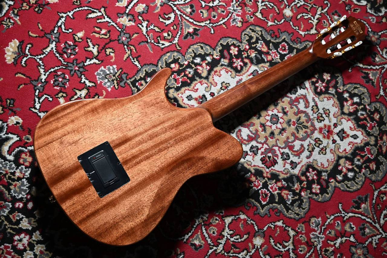 Ibanez TOD100N NT Natural High Gloss エレガット Tim Henson