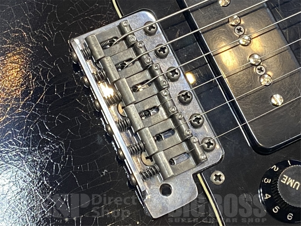 Navigator N-ST SGZ Custom -DII-（新品/送料無料）【楽器検索デジマート】