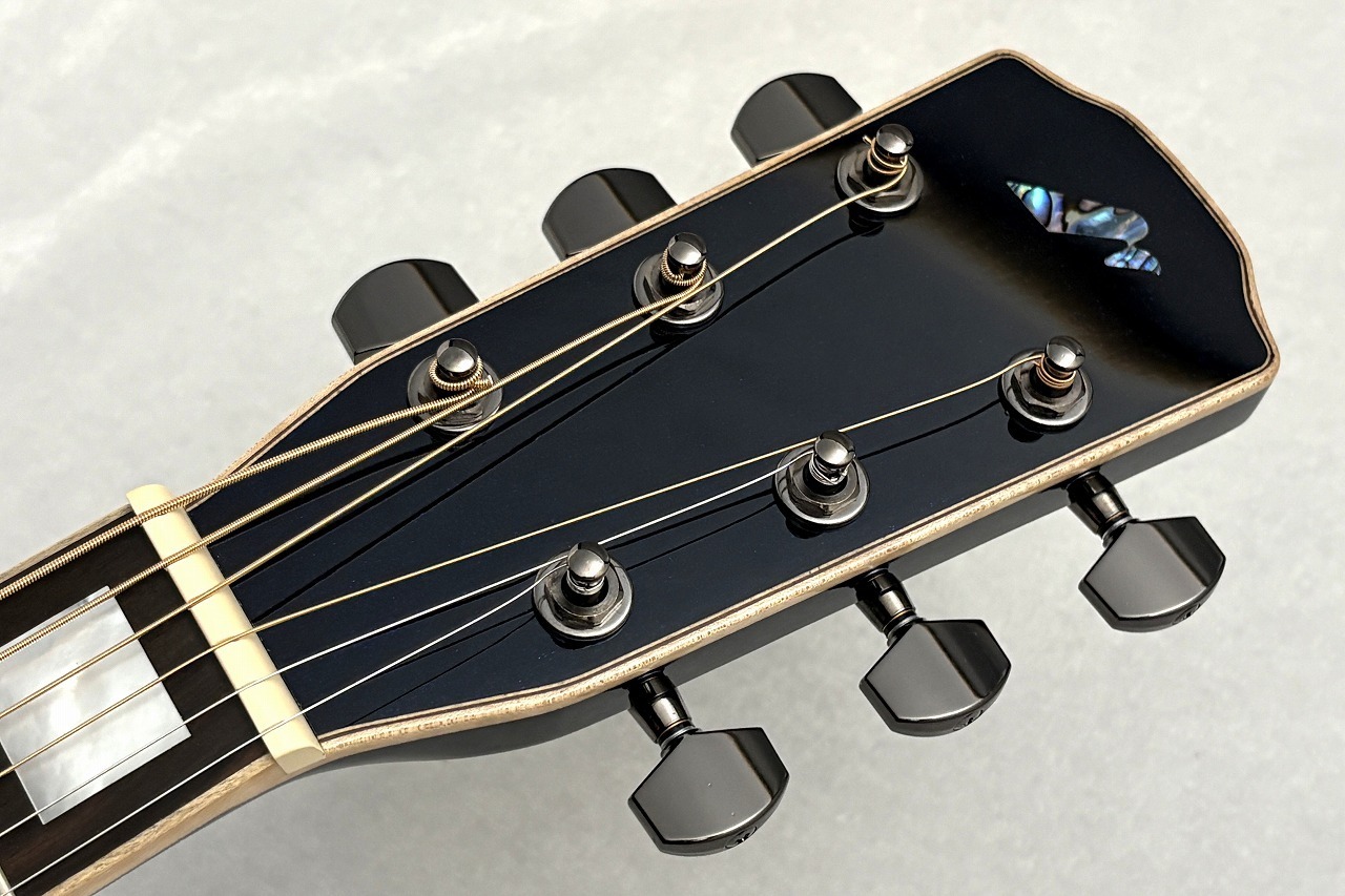 Morris R-18 Midnight Ocean #2502034【魅惑の美外観と良サウンド