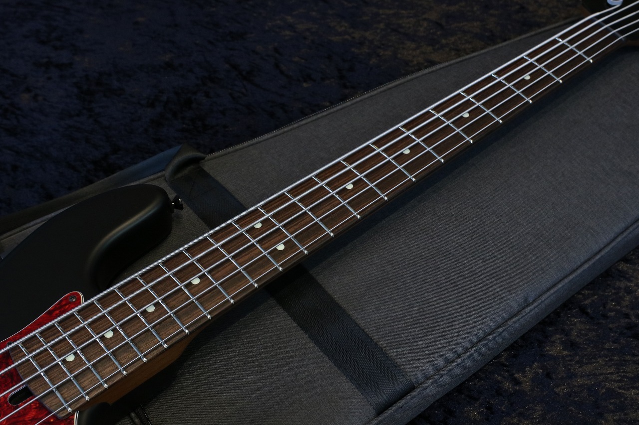 Xotic XJ-1T 5st Satin Black 