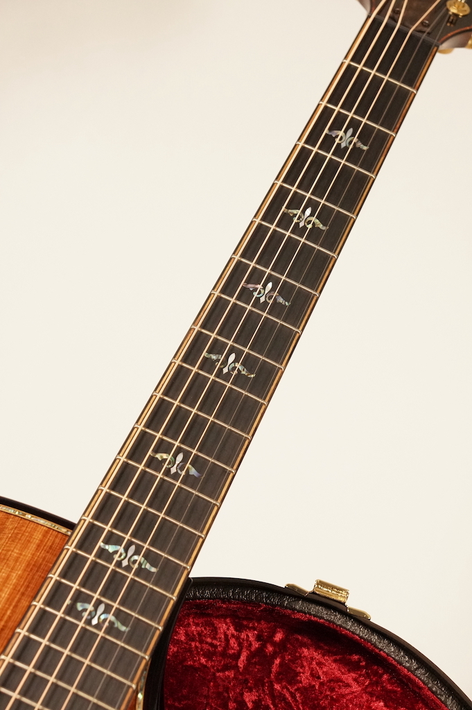 Taylor Builder's Edition 912ce ~Sinker Redwood × Honduran Rosewood