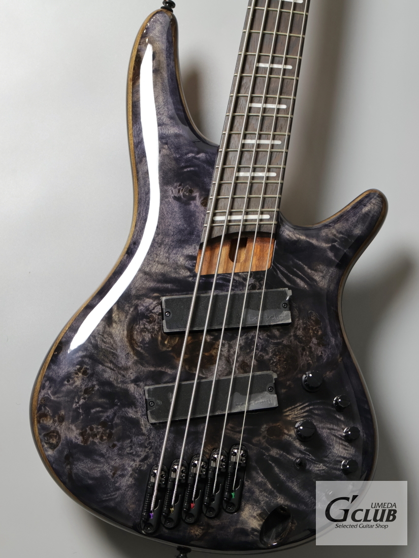 Ibanez SRMS805 / Deep Twilight 【重量4.12kg】（新品）【楽器検索