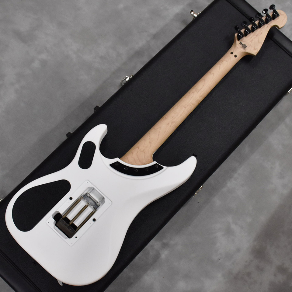 Washburn N4 GWH（新品/送料無料）【楽器検索デジマート】