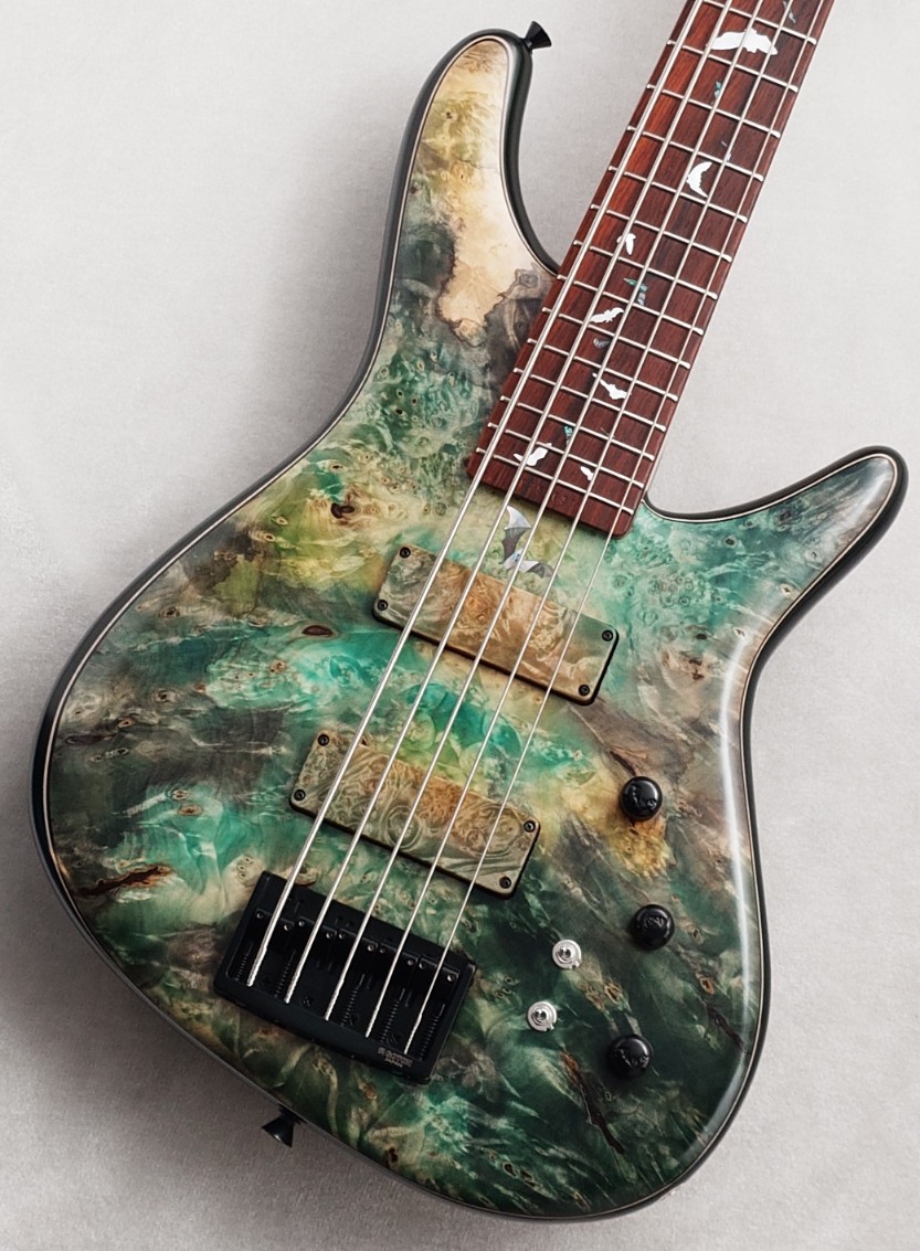 Sugi 【48回無金利】NB5C 2HH 432 BUE/ALD/Deep Forest Green