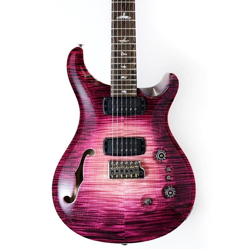 Paul Reed Smith(PRS) Private Stock #11592 Custom 24-08 Semi-Hollow
