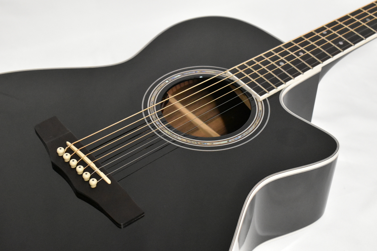 Morris R-14G BLK(ブラック) 【国産エレアコ】（新品特価） 決算セール