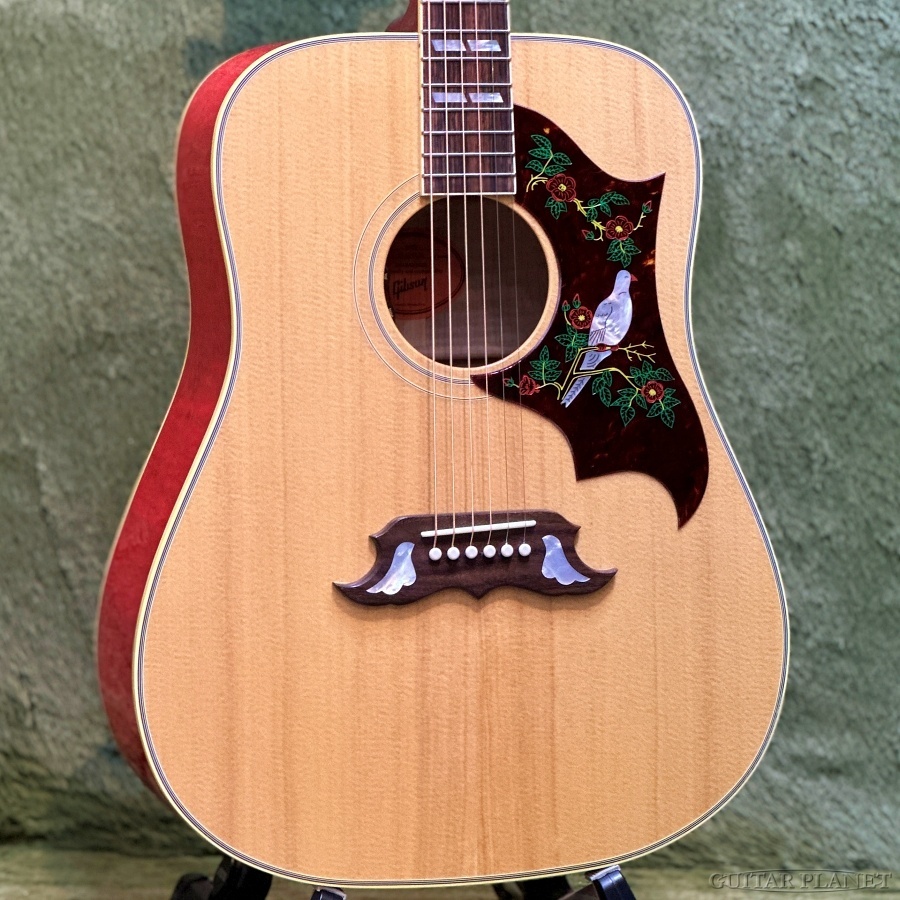 Gibson 【ケース小キズ特価!】Dove Original -Antique Natural