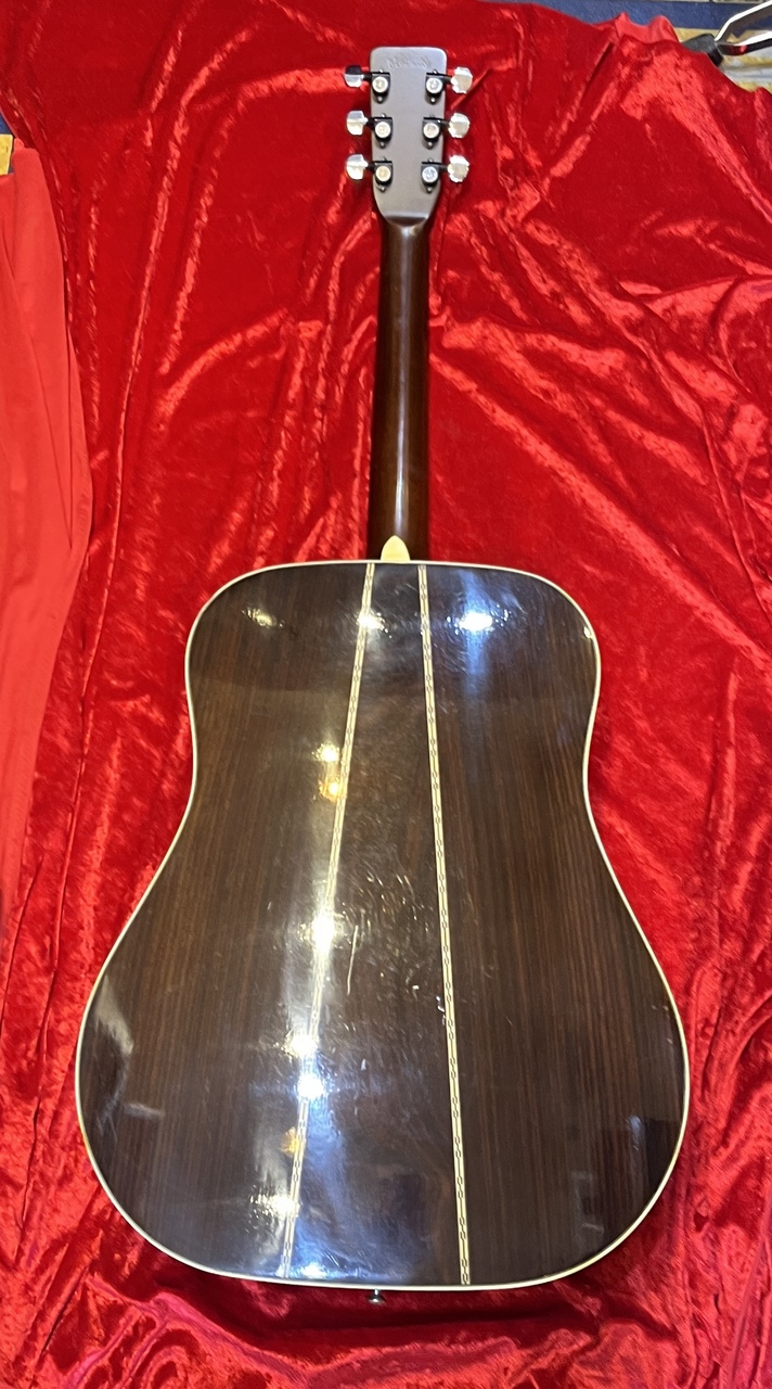 Morris SPECIAL（中古）【楽器検索デジマート】