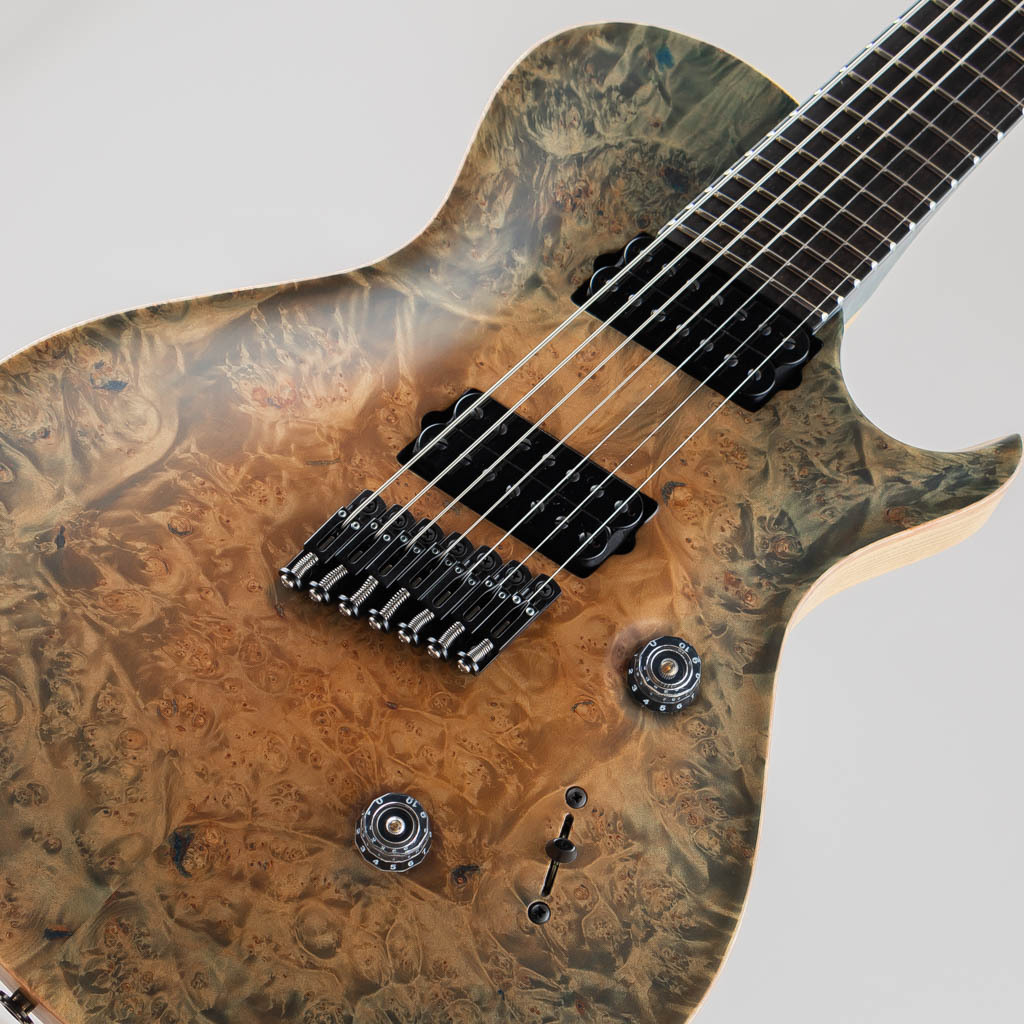 Paul Reed Smith(PRS) Private Stock #8034 Singlecut 7 String