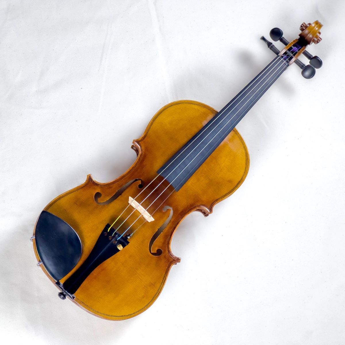 GEWA Meister II バイオリン セット 4/4サイズ ケースカラー：ブラックマイスター II アウトフィット（新品/送料無料 ）【楽器検索デジマート】
