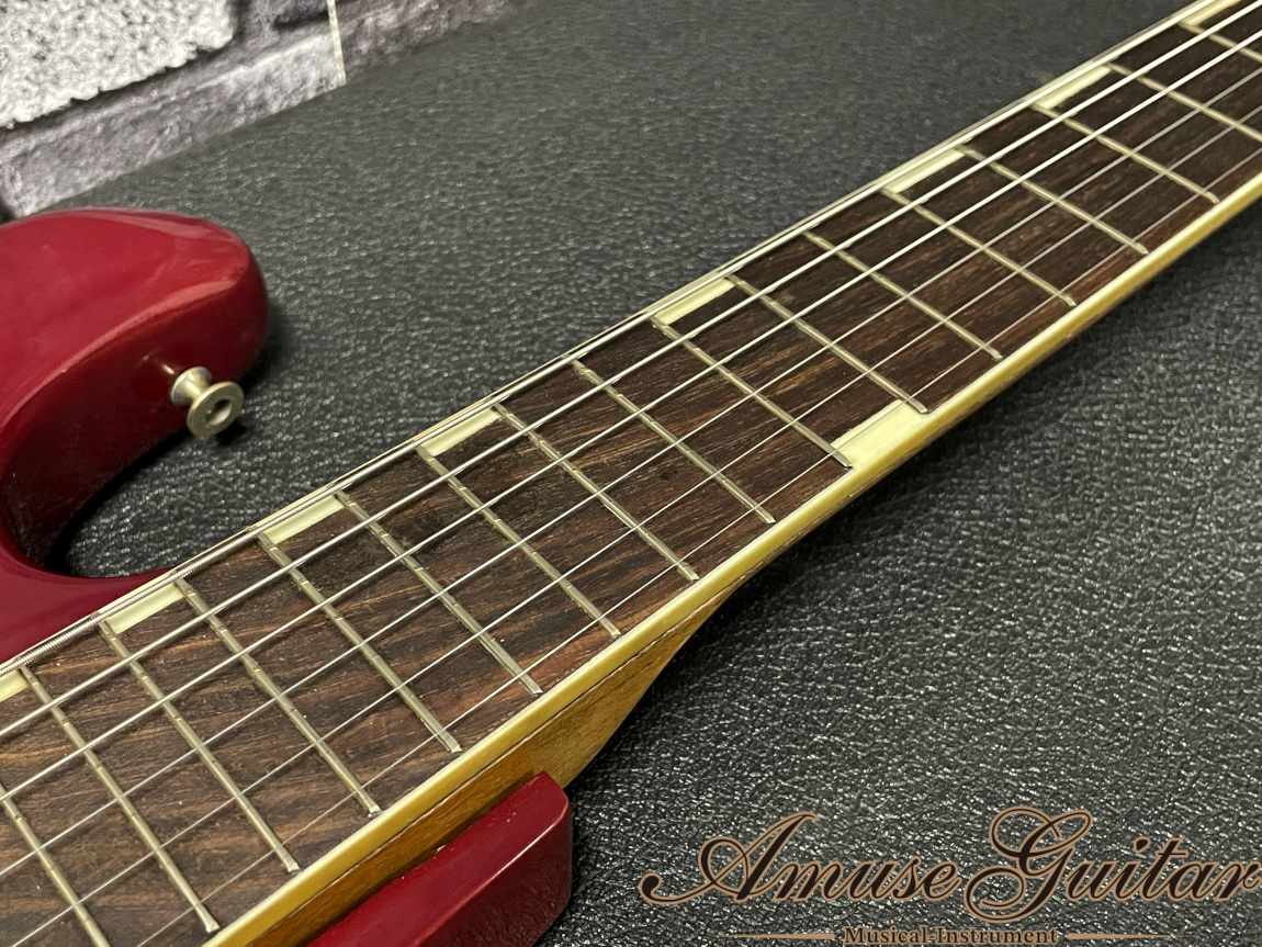 Teisco WG-2L # RED 1966年製【DAVID LINDLEY STYLE】