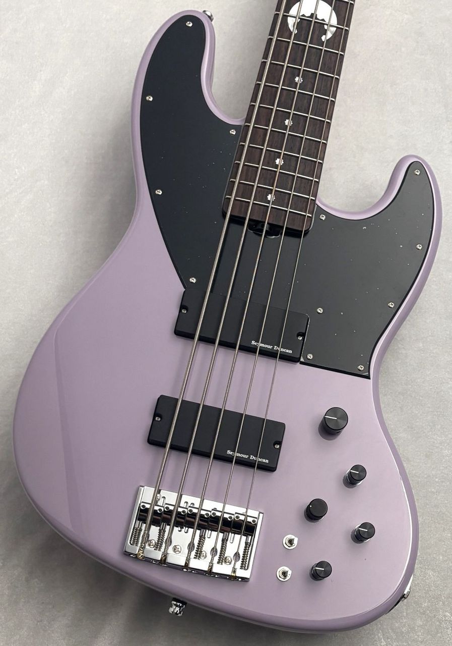 SCHECTER AC-EXB-5-AveMujica/Timoris/SIG【NEW】【即納可能】（新品