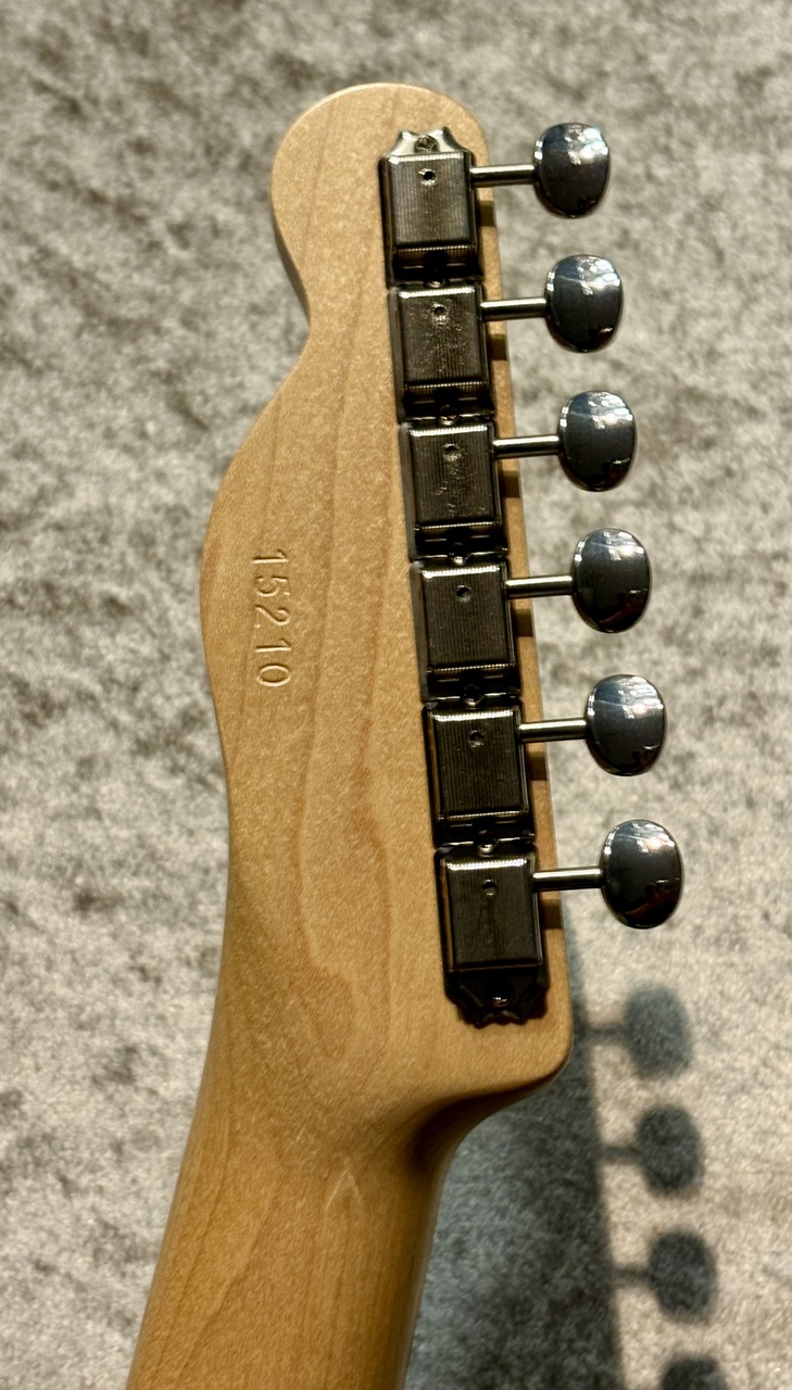 らい】MOMOSE MTL1-STD 生産完了 フェンダーヘッド momose MTL1-STD/NJ
