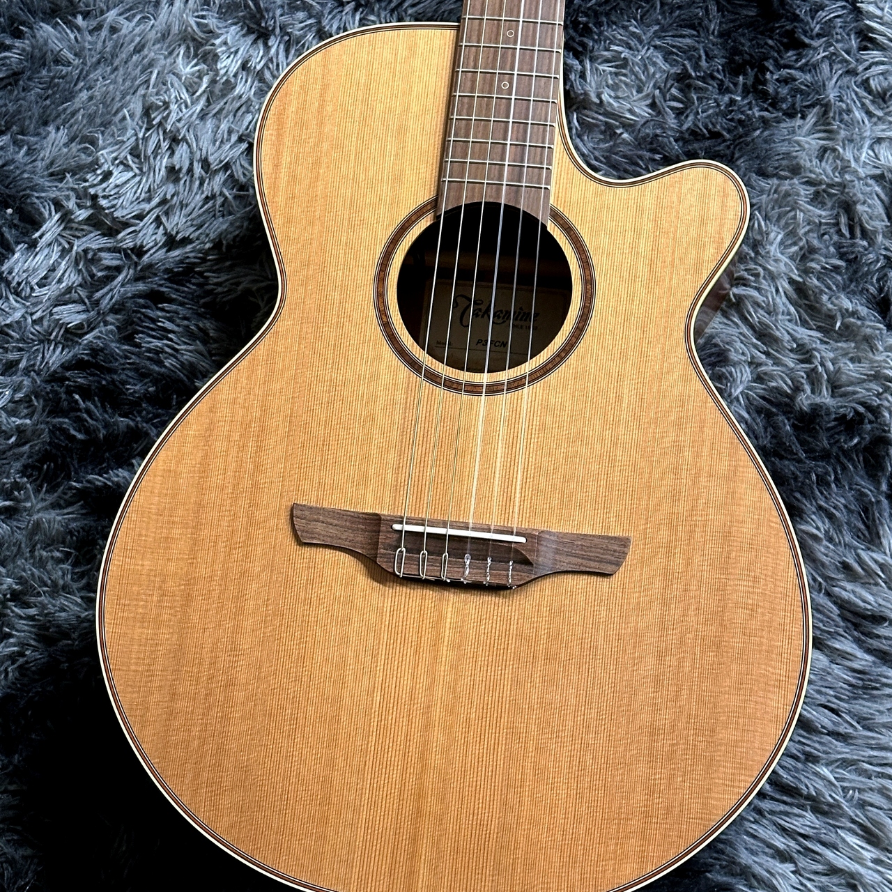 Takamine P3FCN NS -World Standard Series-【新春フェア 初売り特価
