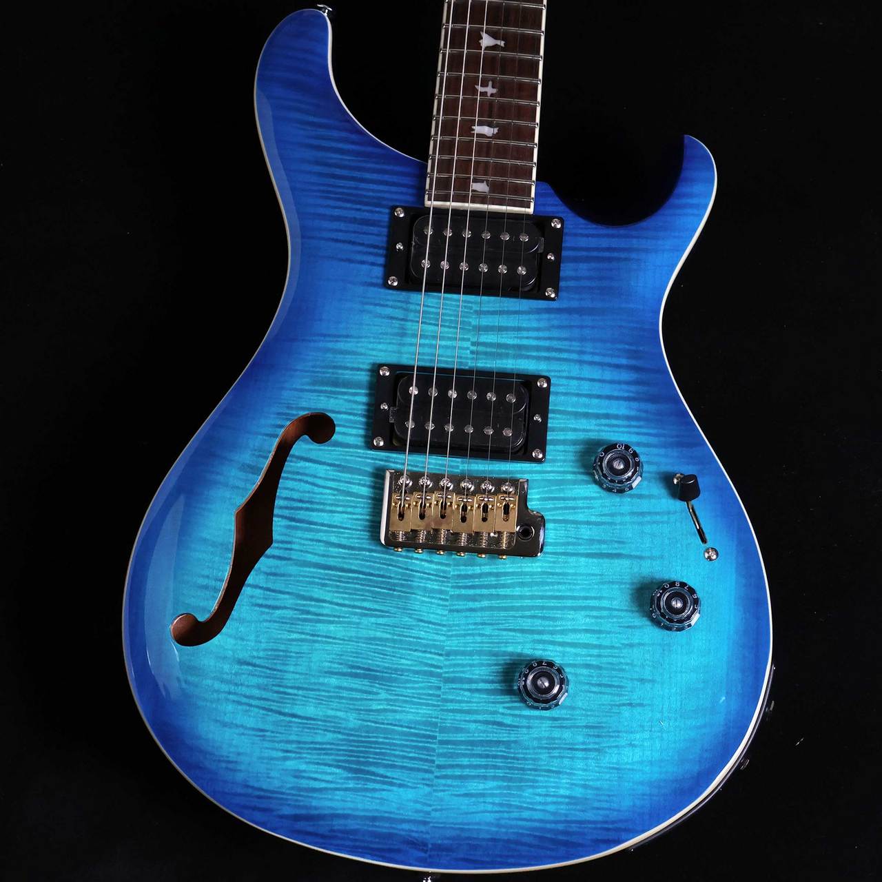 Paul Reed Smith(PRS) SE Custom24 Semi-Hollow Piezo 【未展示品