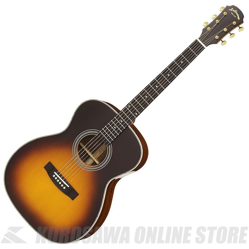 ARIA AF-501 TS [Aria Dreadnought 500 series] アコースティック