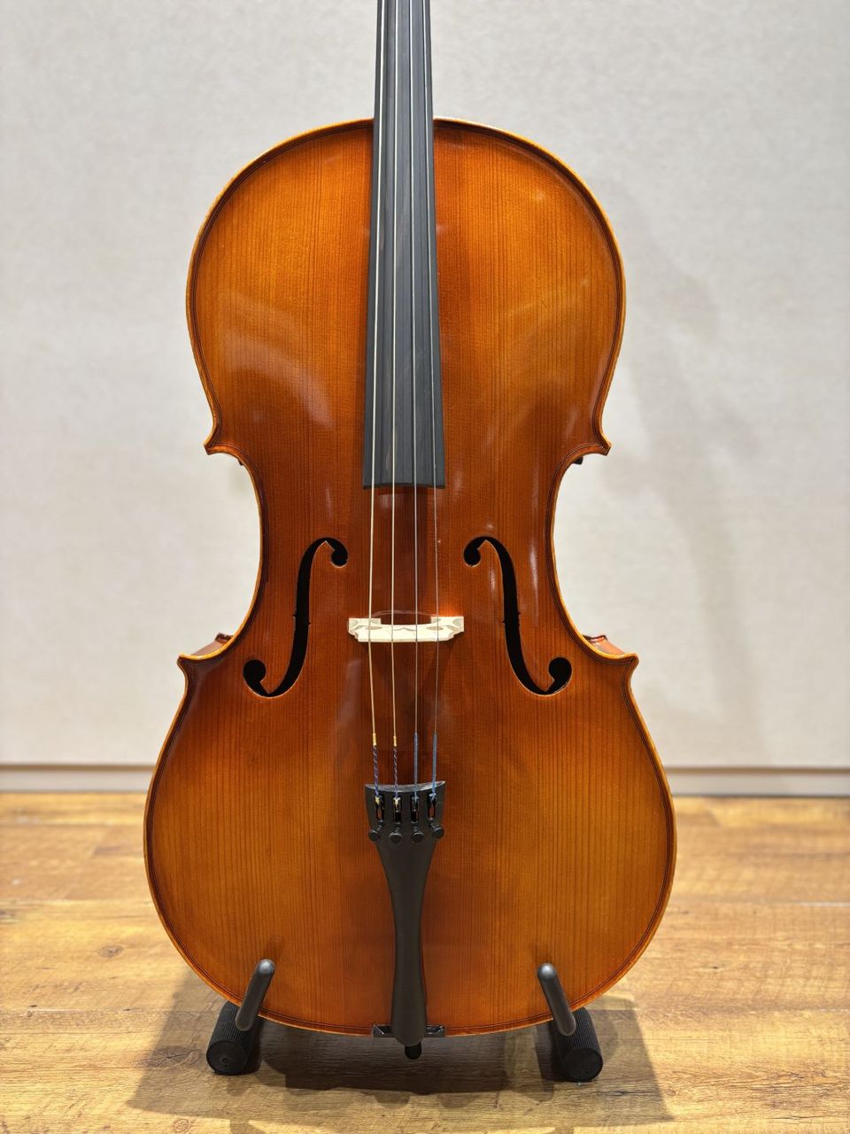 Eastman Eastman VC100 4/4 チェロセット（新品/送料無料）【楽器検索