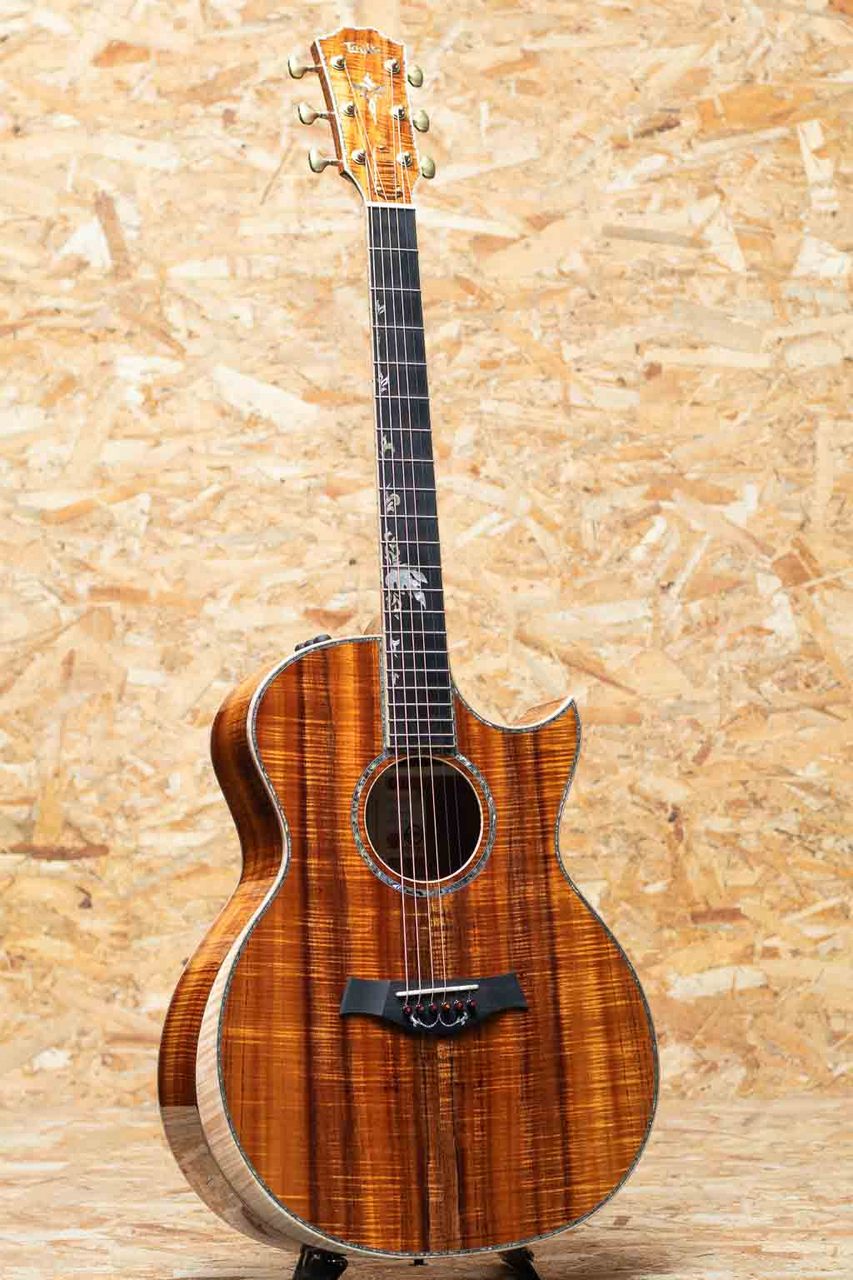 Taylor Grand Auditorium Custom -MIKI 200th Anniversary-（新品