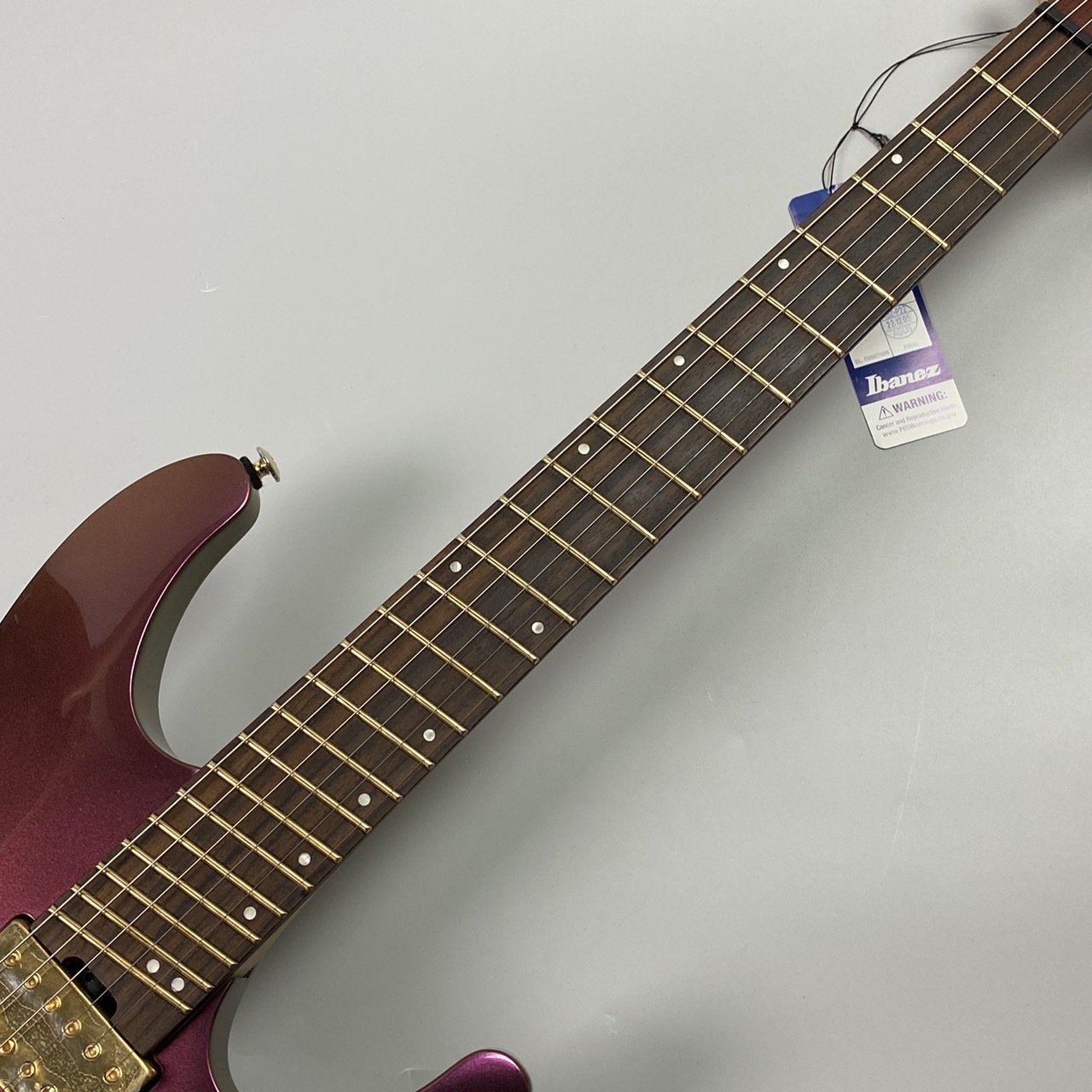 Ibanez slm721 マルチスケール メンテナンス済み 保証有り-