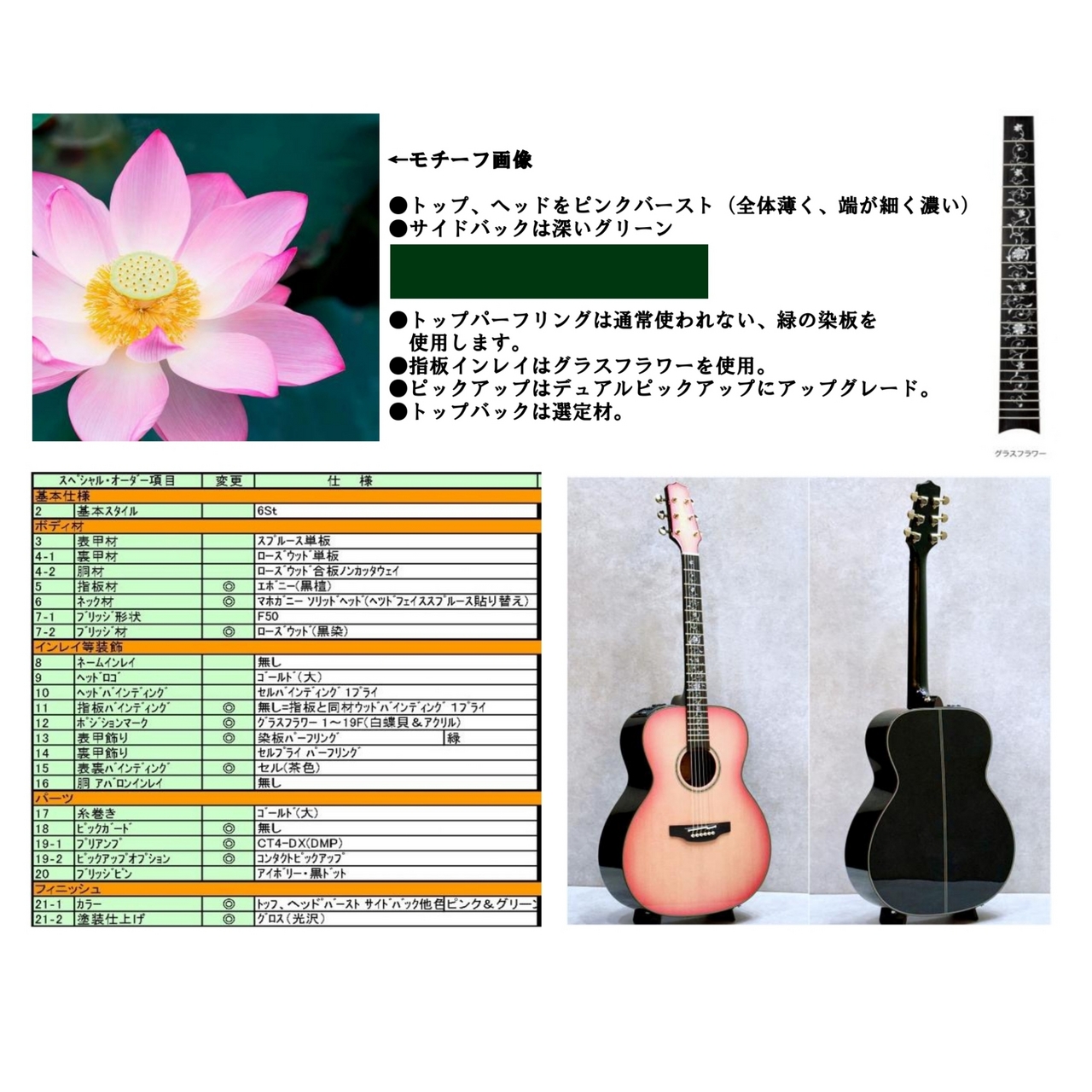 Takamine 【現物動画あり】700 CTM 蓮の花(ハスノハナ)【生産数1本