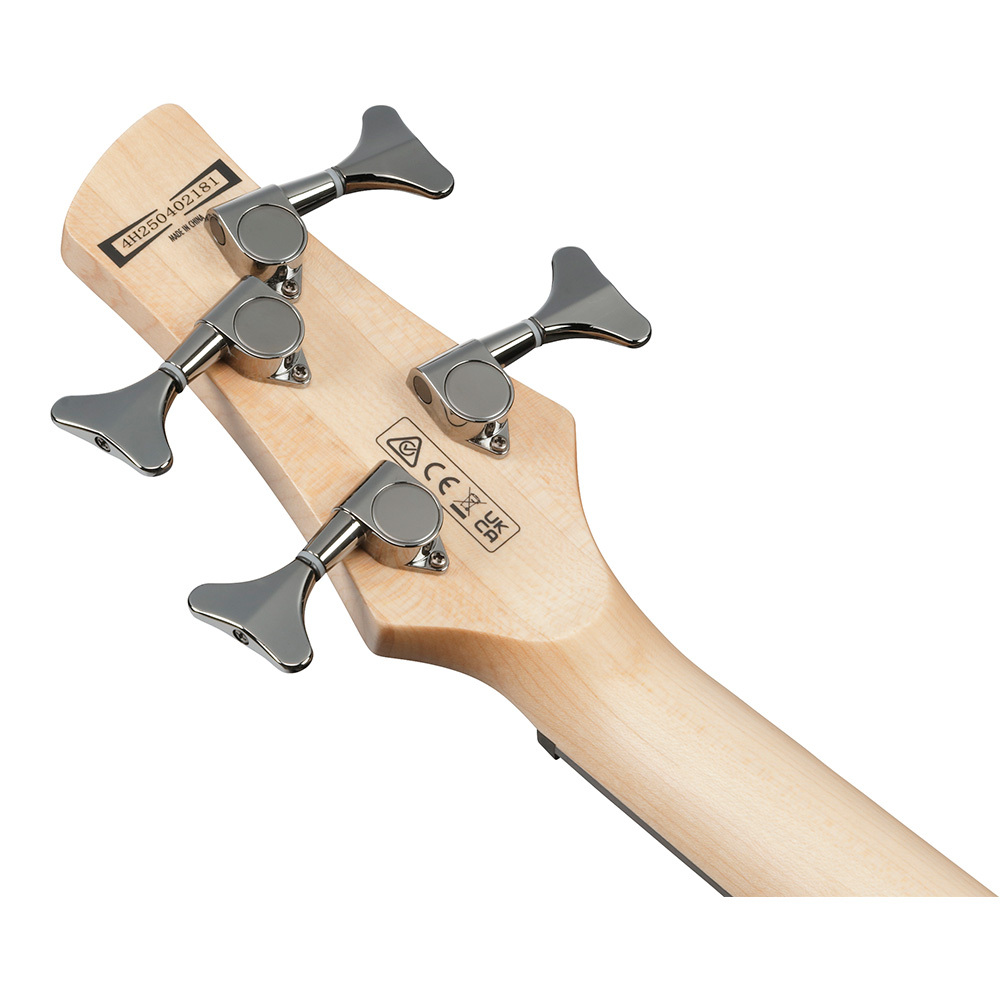 Ibanez SR Standard SR280E-TKF (Transparent Black Flat) 【送料無料