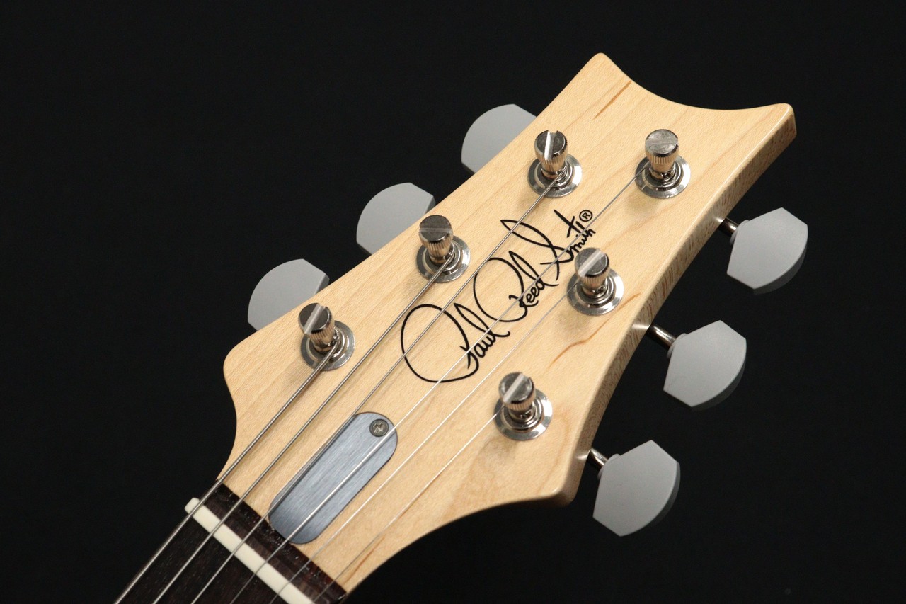 Paul Reed Smith(PRS) SILVER SKY Rosewood Black Plum Satin 【NEW