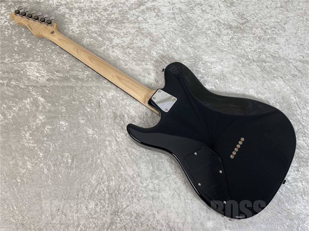 EDWARDS E-THROBBER-CTM (Black)（新品/送料無料）【楽器検索デジマート】