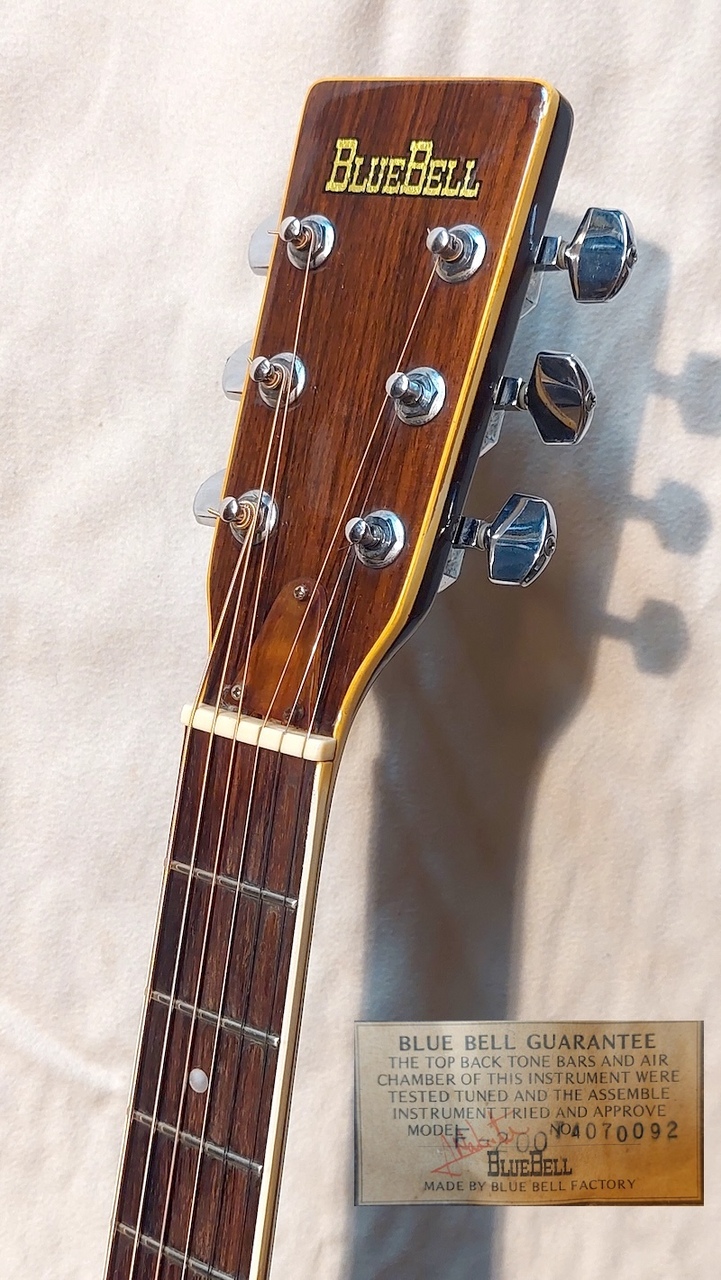 ギター Bluebell F-300 BLUE BELL W-300 BLUE BELL W-300 ブルーベル アコースティックギター