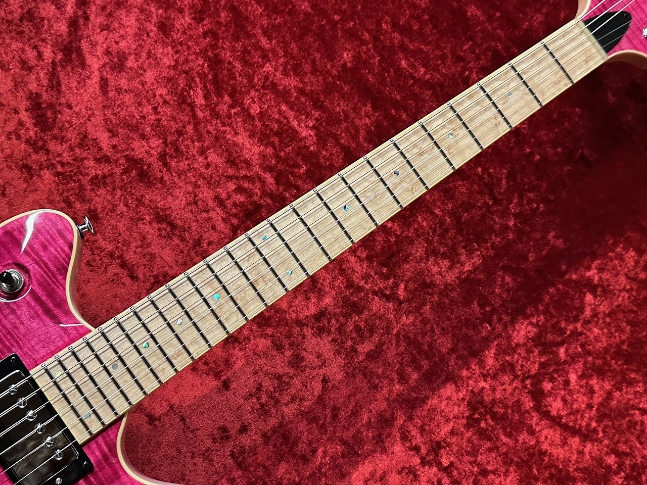 T's Guitars Arc-STD24 -Trans Pink- ≒3.535Kg （新品/送料無料