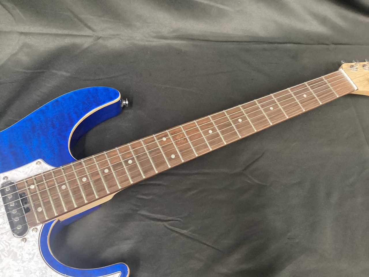 GrassRoots G-SNAPPER-CTM/See Thru Blue (グラスルーツ スナッパー