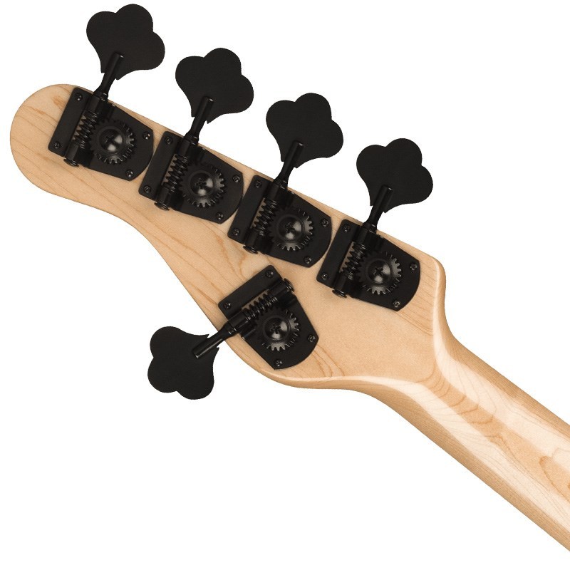 Jackson 【入荷待ち、ご予約受付中】 Pro Series Signature Adam