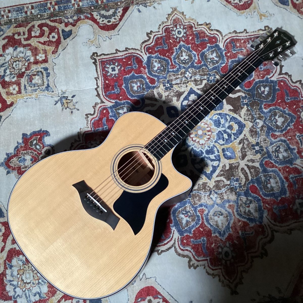 Taylor 314ce (エレアコ)-