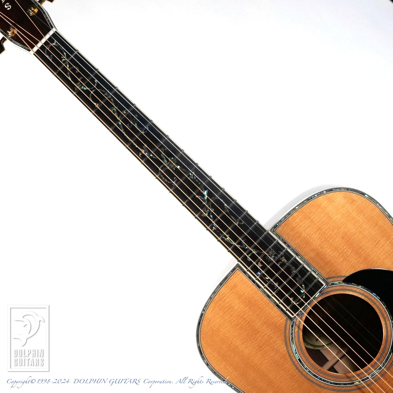 Morris W-50th Limited Edition（中古）【楽器検索デジマート】