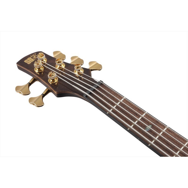 Ibanez Premium SR1605DW-DEL [SPOT MODEL] 【特価】（新品特価