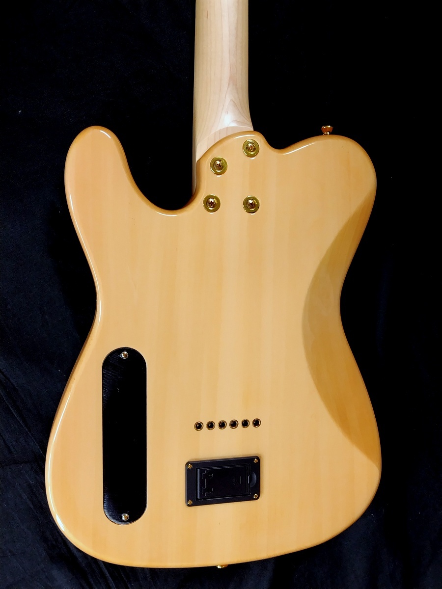 Aria Pro II TEG-780 N (Natural)（B級特価）【楽器検索デジマート】