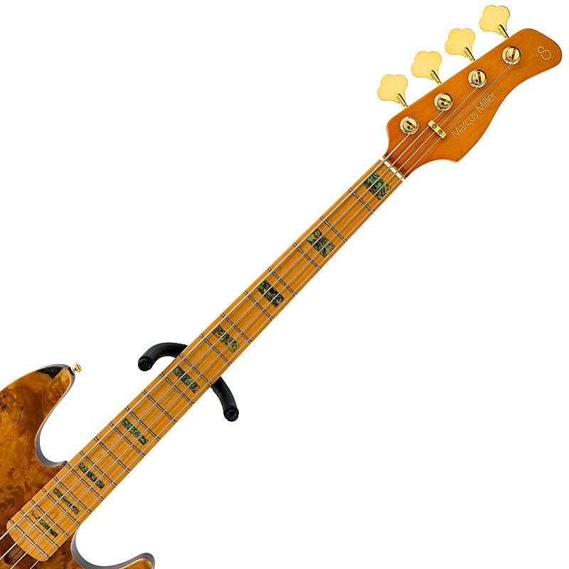 Sire V10-4 (Natural Stain) 【クリスマスセール】（新品