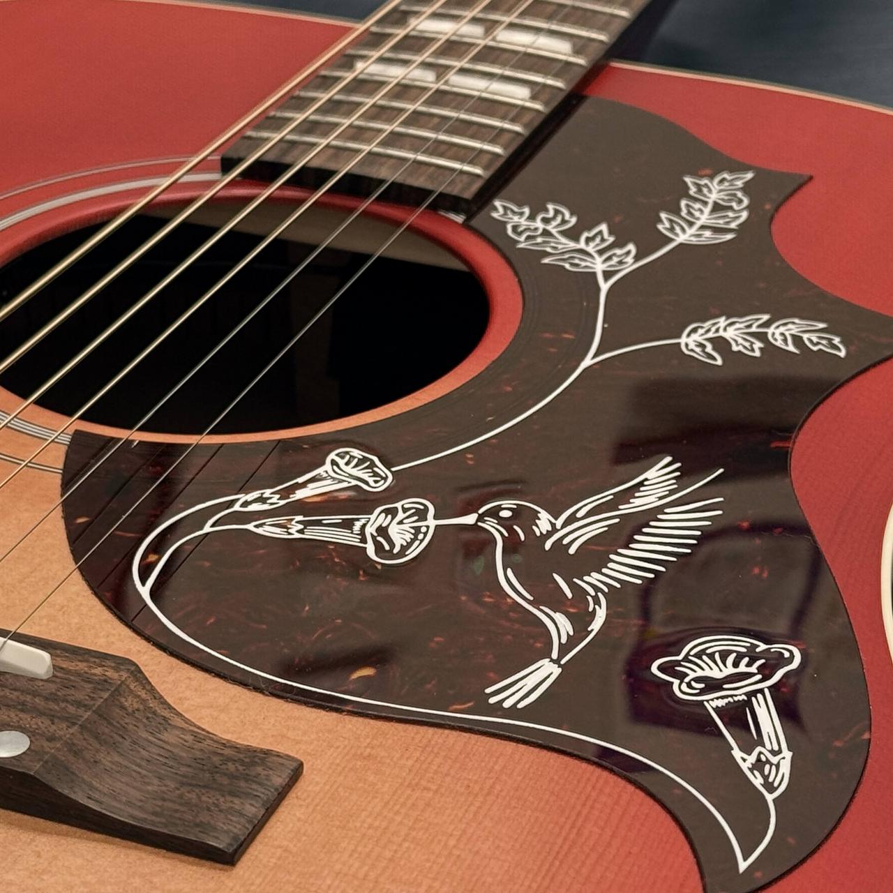 Gibson HUMMINGBIRD SPECIAL / VCS【Gibson Special Series