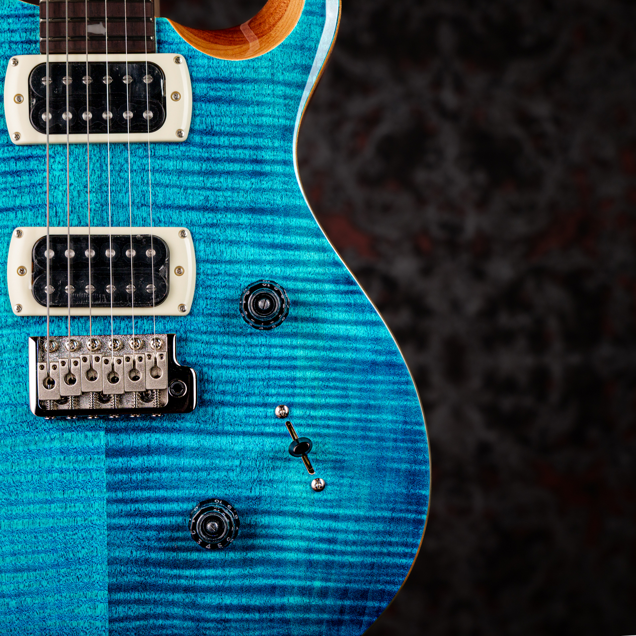 Paul Reed Smith(PRS) SE Custom 24 Blue Matteo (Natural Back