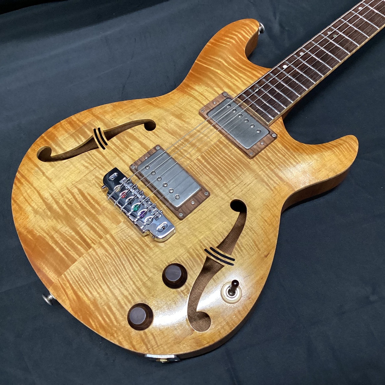 FUJIGEN(FGN) GF-FH6CFS RAN (FGN フジゲン エレキギター 軽量 ホロウ 