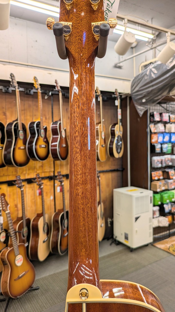 Takamine TSP138C N 【無金利分割OK】（新品/送料無料）【楽器