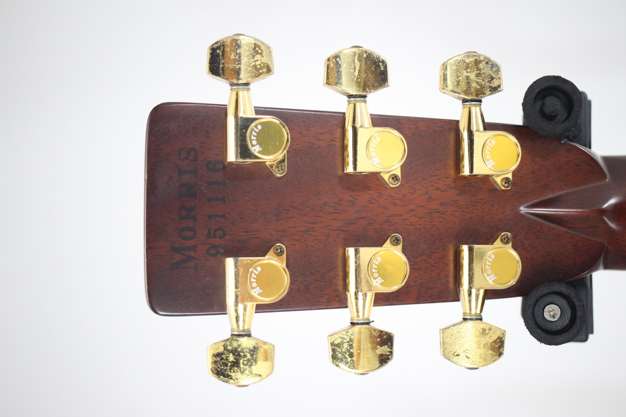 Morris W-100（中古）【楽器検索デジマート】