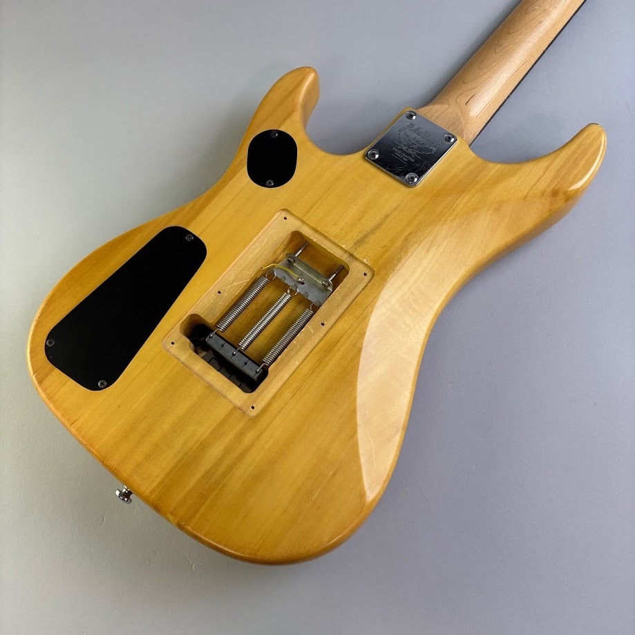 Washburn N2（中古/送料無料）【楽器検索デジマート】