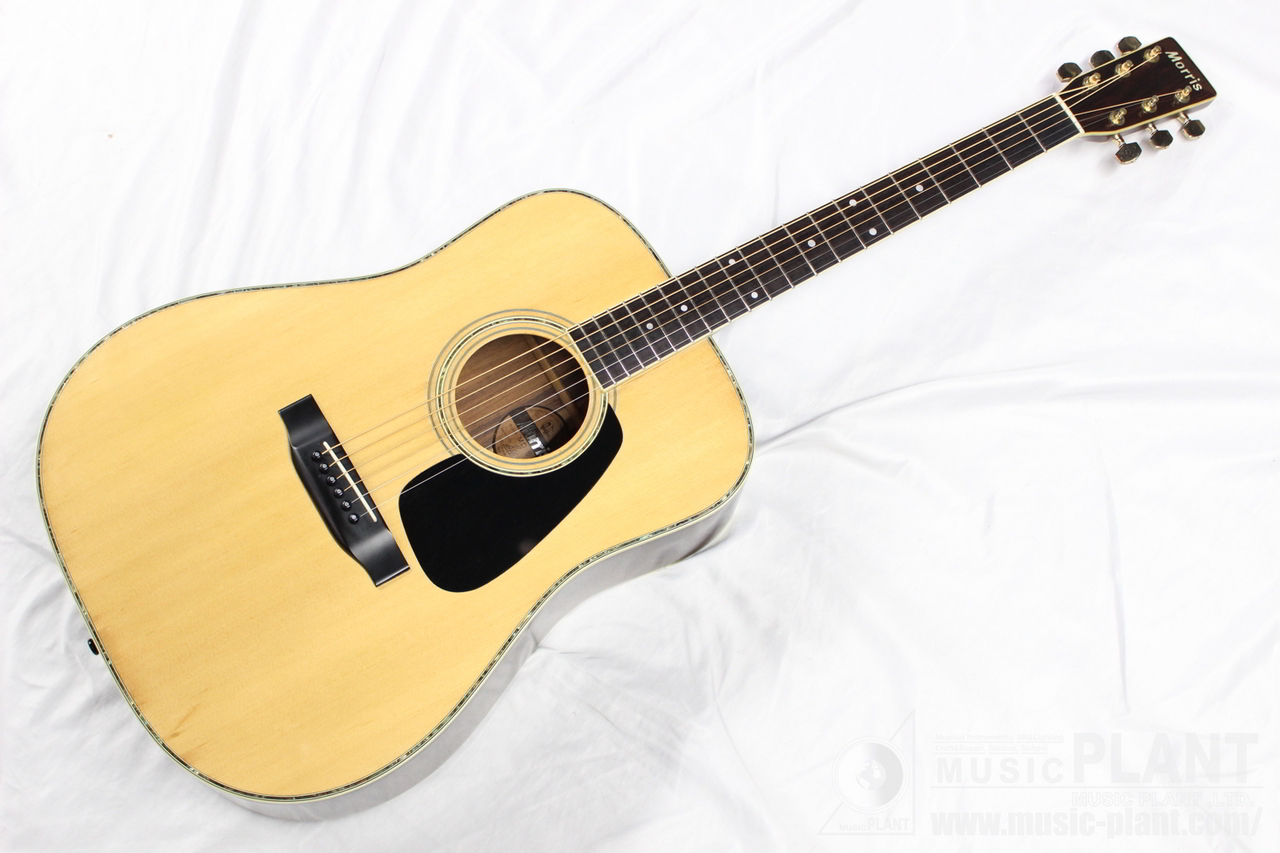 Morris MD-515 NA（中古）【楽器検索デジマート】