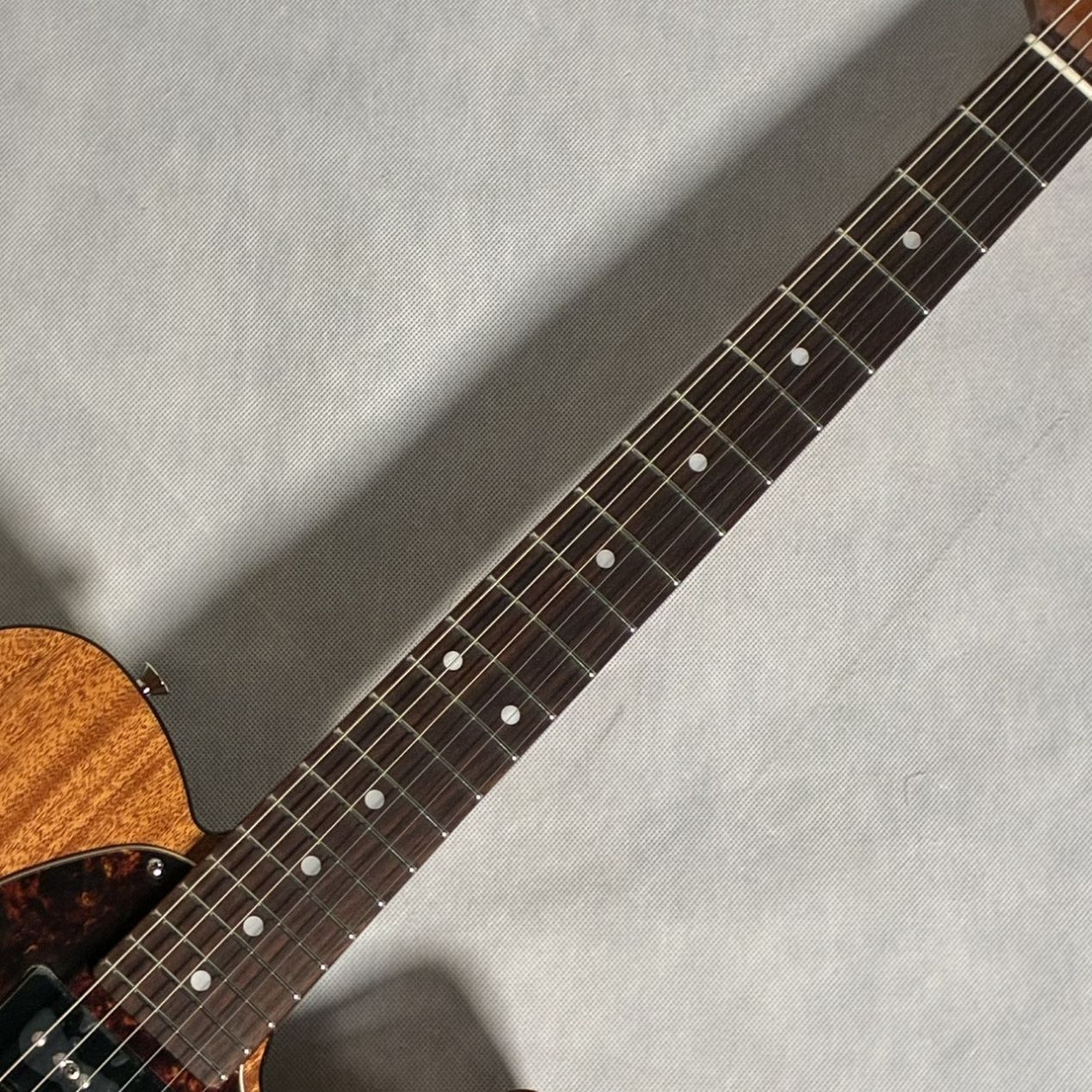 Tokai ATE103S（新品/送料無料）【楽器検索デジマート】