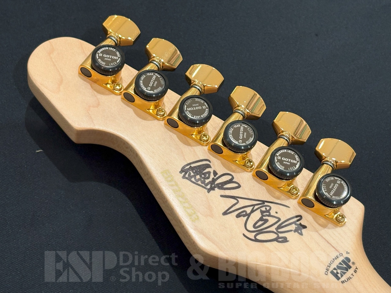 EDWARDS E-SNAPPER TO -Eclipse Gold-（新品/送料無料）【楽器検索