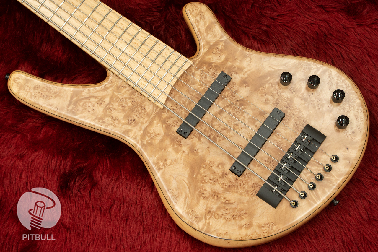 Franz Bassguitars Wega 6st Maple Burl #1515 4.67kg【横浜店】（中古 