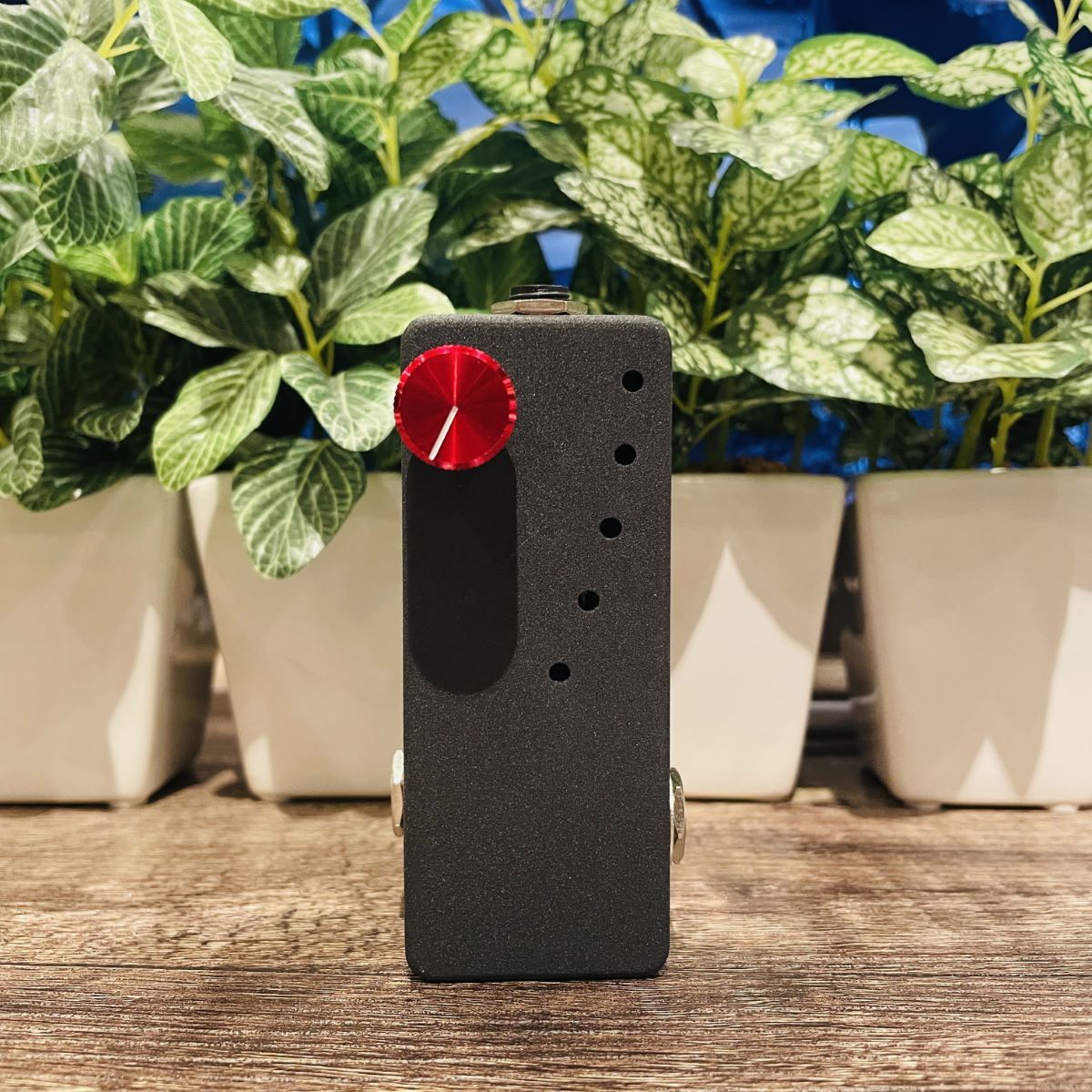 Lee Custom Amplifier 12AX7BB真空管バッファー Lee Custom Amplifier