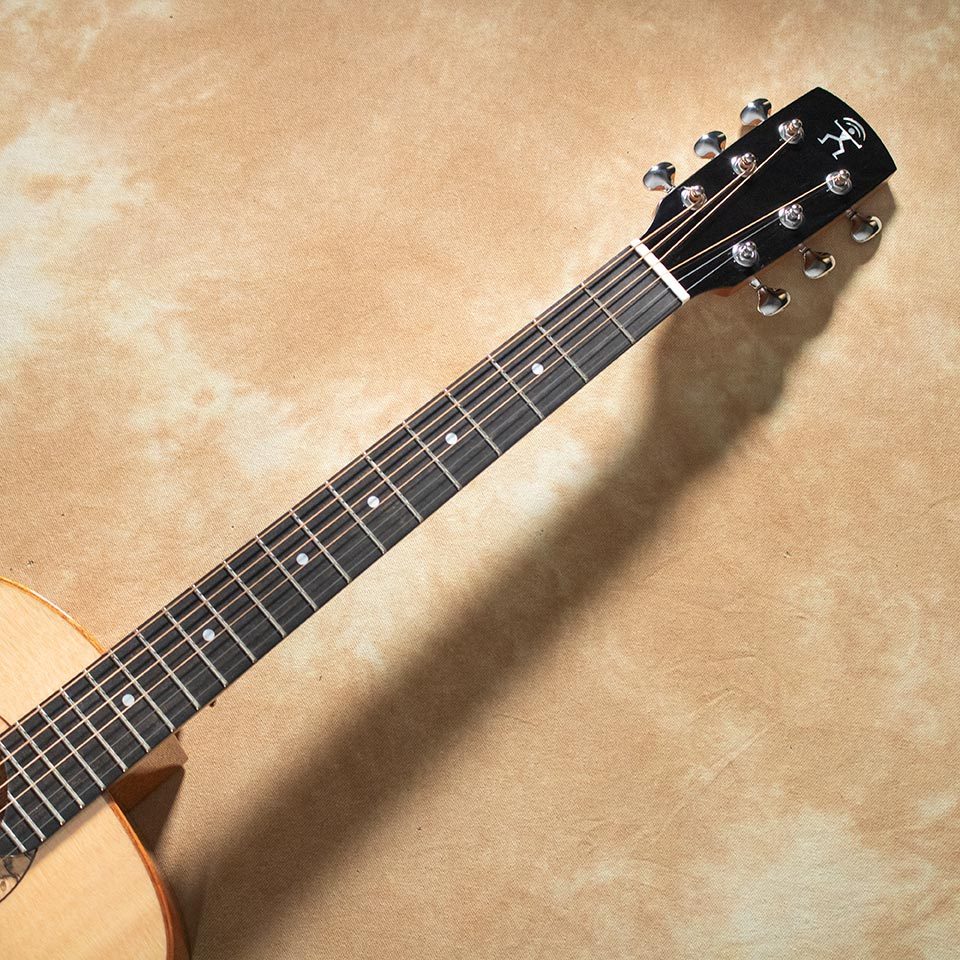 aNueNue aNN-L100E（新品特価/送料無料）【楽器検索デジマート】