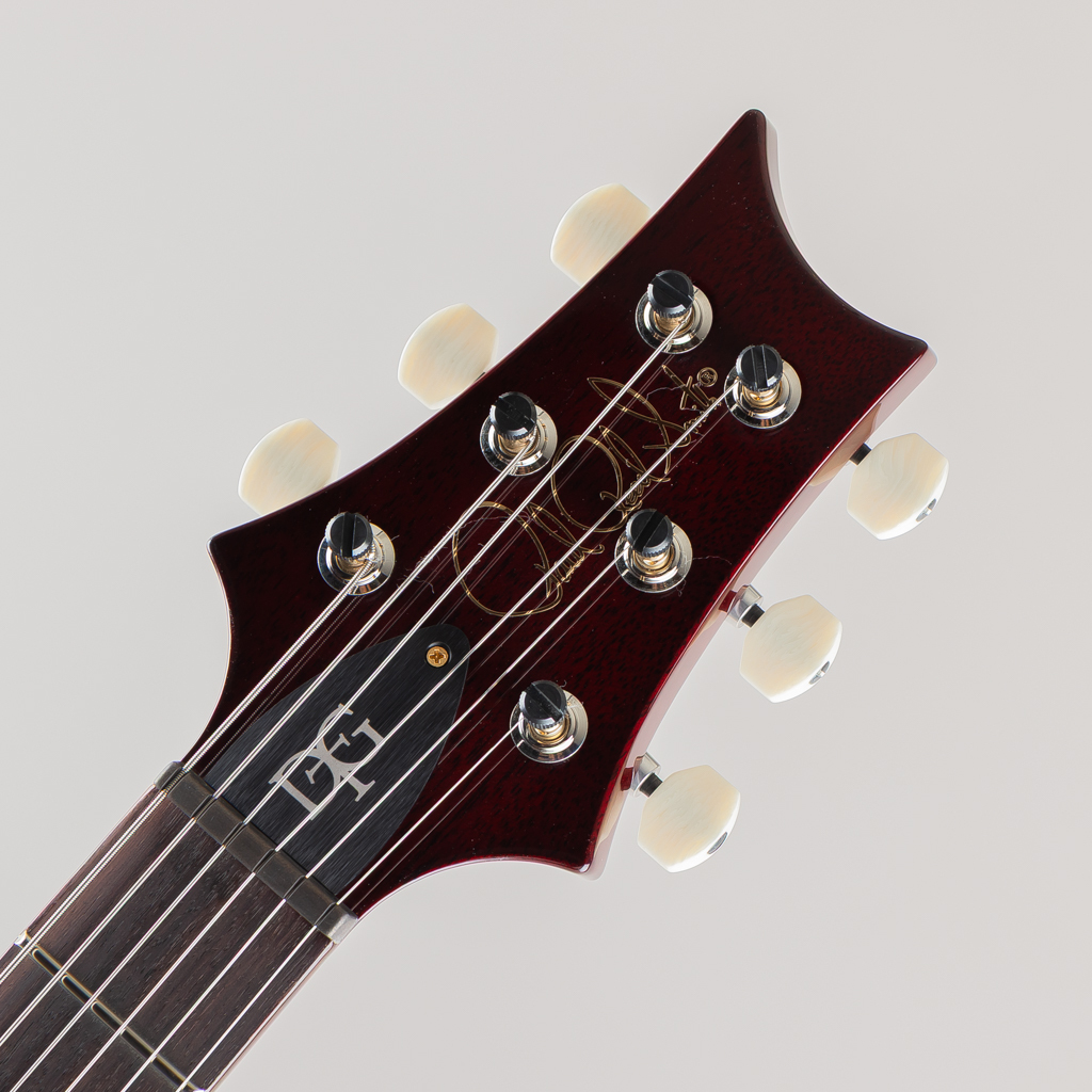 Paul Reed Smith(PRS) DGT Birds 10Top Dark Cherry Sunburst 2025